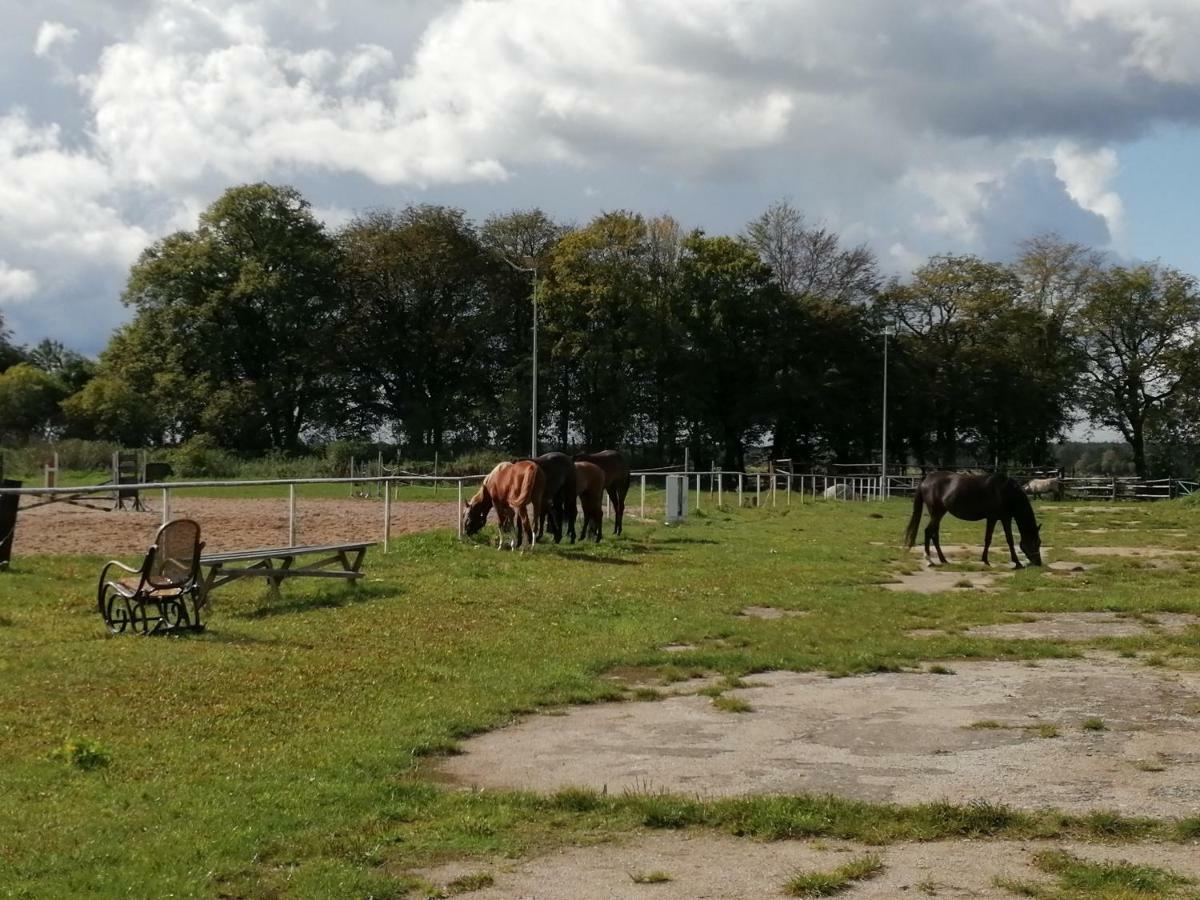 Agroturystyka Stajnia Rusinowo Hotel Tuczno Zewnętrze zdjęcie